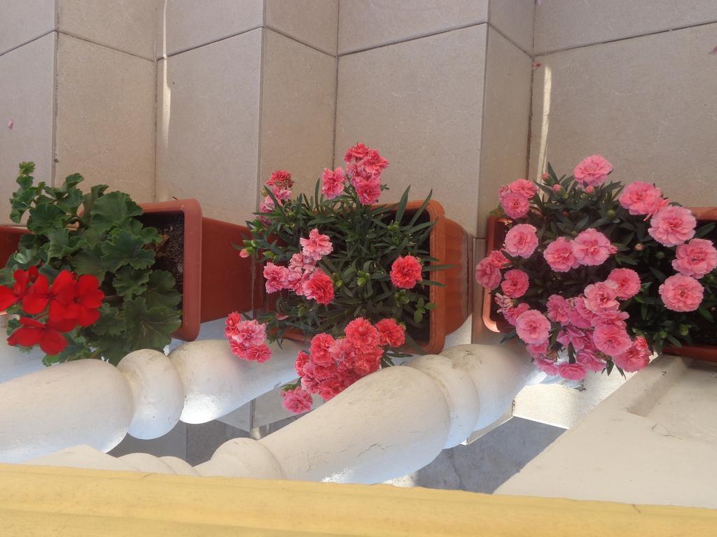 Guest House Ivana Tivat Luaran gambar