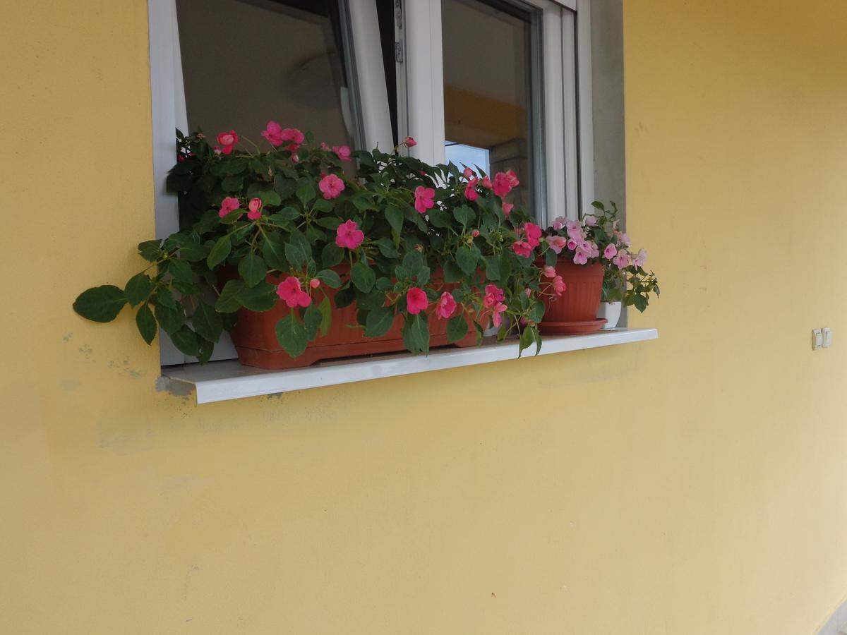Guest House Ivana Tivat Luaran gambar
